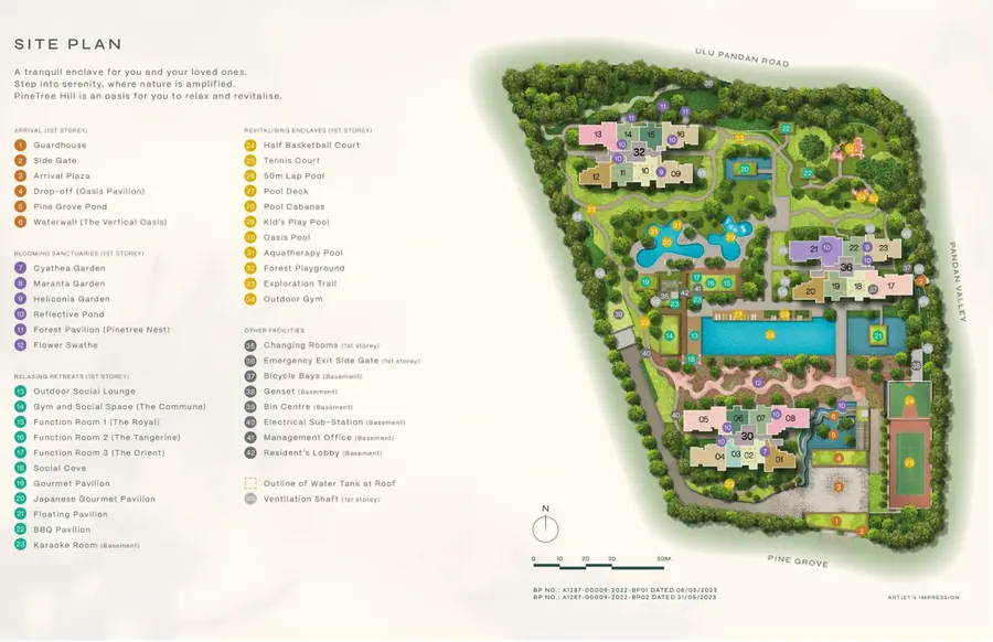 Pinetree Hill — site plan 1, D21
