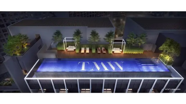 Tmw Maxwell — artist impression or marketing image 14, D02